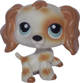 #0344 Cocker Spaniel